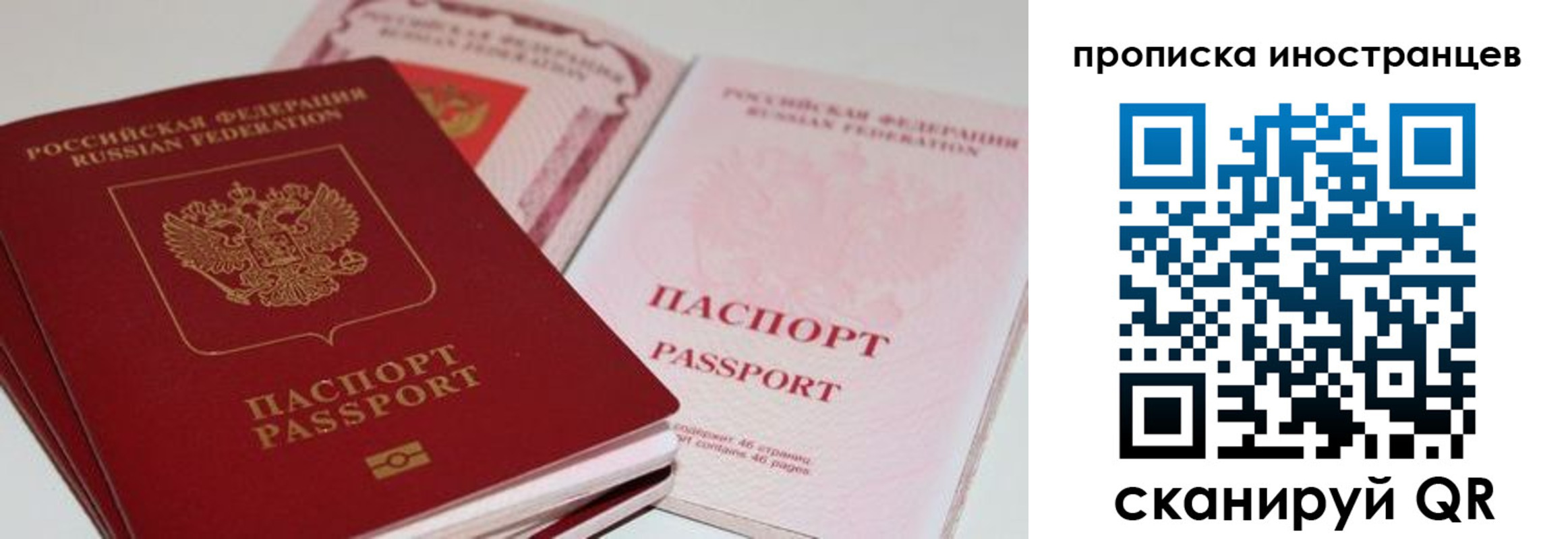 прописка поиск в Шуе